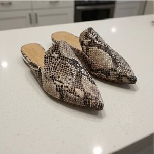 Sz 8W Franceen Pointed Toe Natural Snake Flats NIB